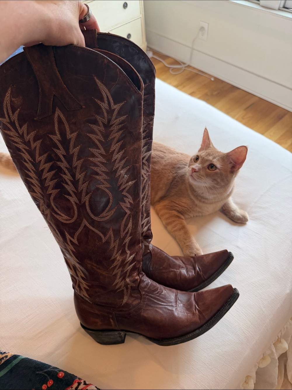 Old Gringo Brown Embroidered Leather Knee-High Western Boots